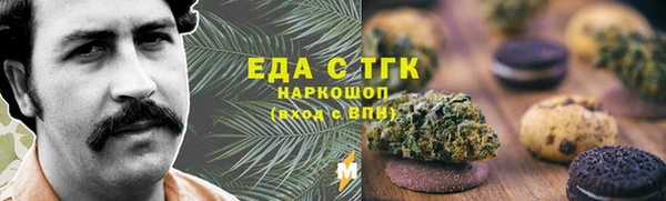 СК Новозыбков