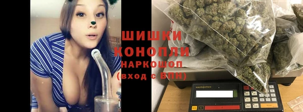 ПСИЛОЦИБИНОВЫЕ ГРИБЫ Новокубанск
