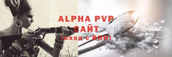 СК Новозыбков