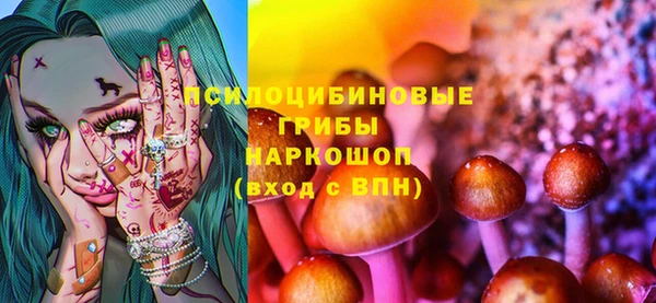 прущая мука Новодвинск