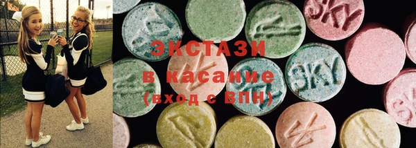 СК Новозыбков
