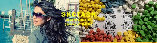 СК Новозыбков