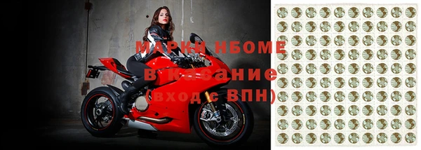 СК Новозыбков